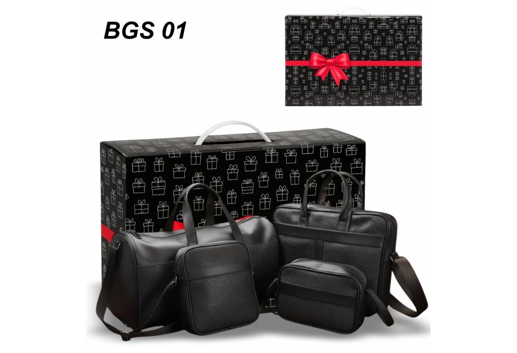 BGS 01