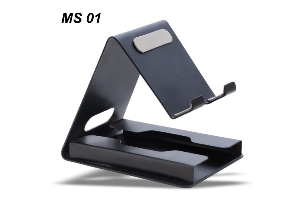 MS 01
