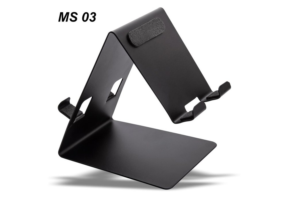 MS 03
