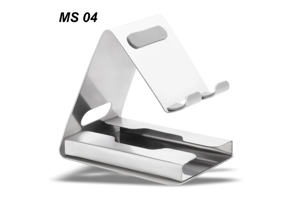 MS 04